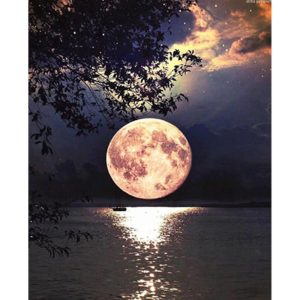 Gece Denizde Dolunay Yansıması Sayılarla Boyama Seti