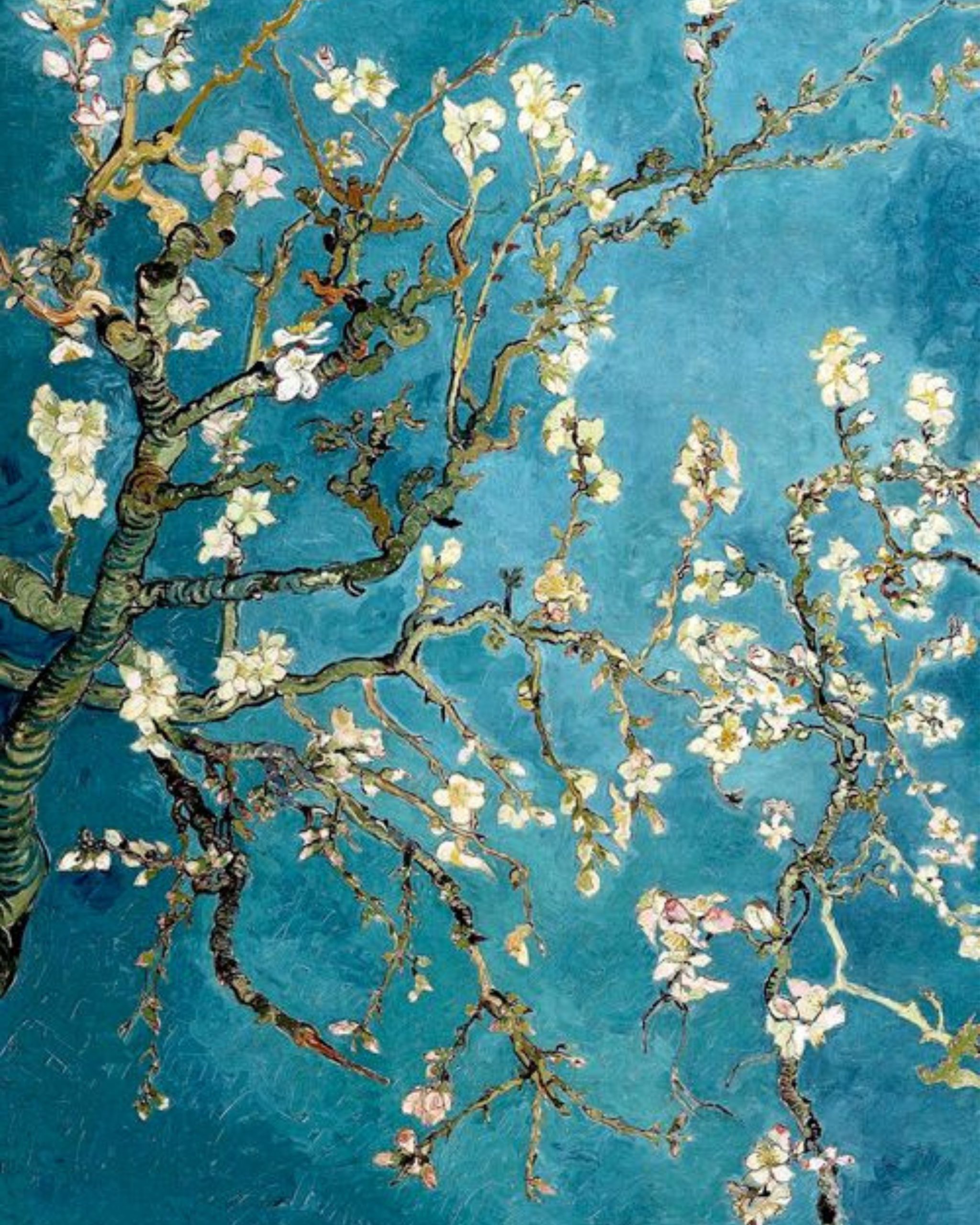 Vincent Van Gogh Çiçek Açan Badem Ağacı Sayılarla Boyama Seti