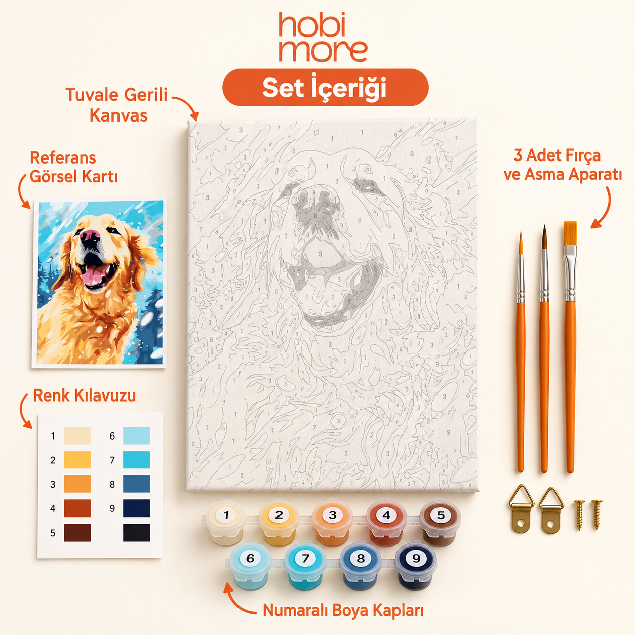 Güneş Gülüşlü Dost Sayılarla Boyama Seti set içeriği