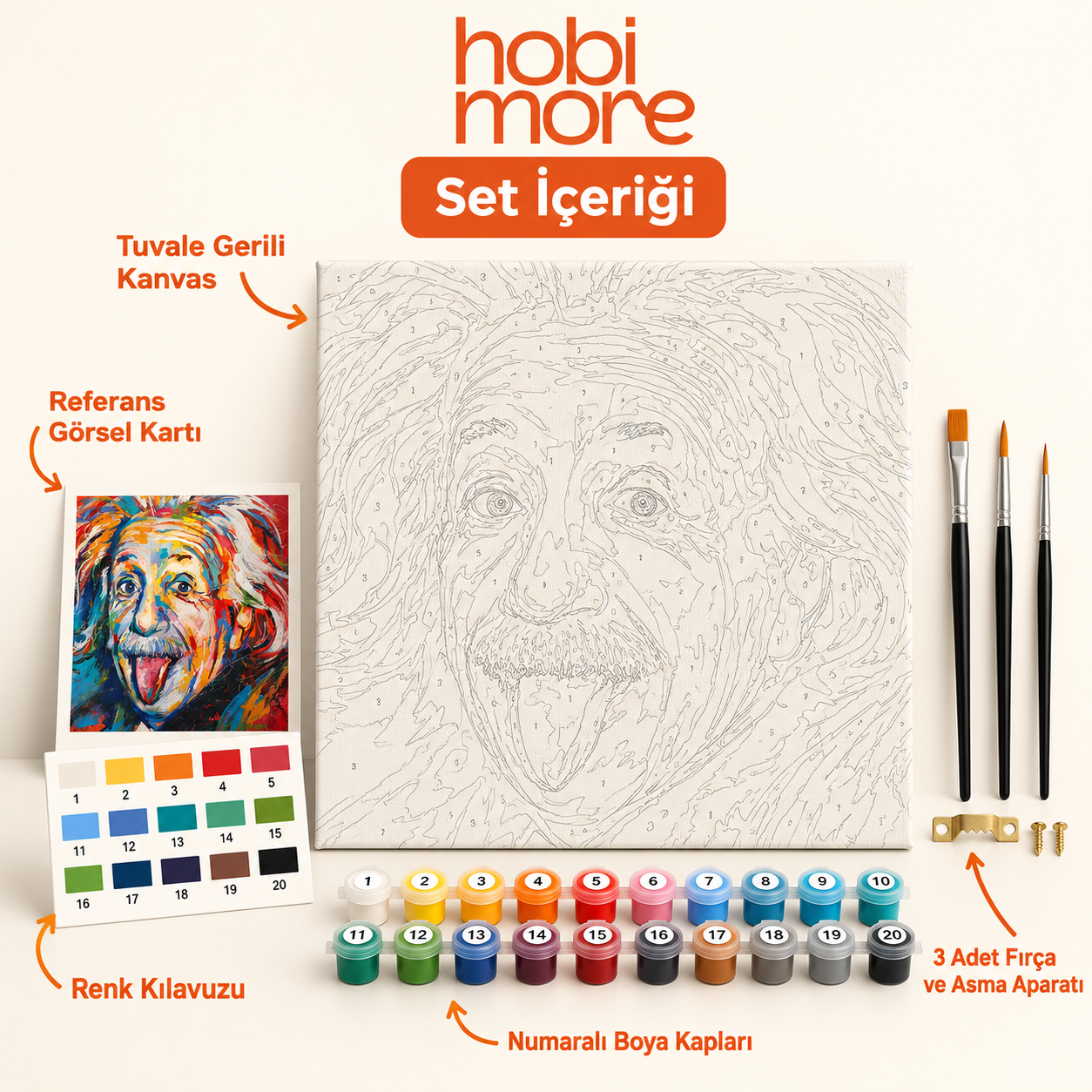Einstein'ın Renkli Gülüşü Sayılarla Boyama Seti set içeriği